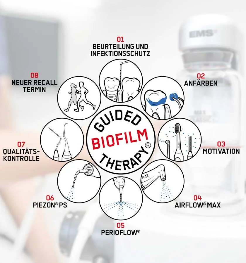 Infografik: Ablauf einer professionellen Zahnreinigung Schritt für Schritt